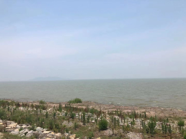 毒品案件如何承辦？上海死刑辯護律師為您介紹