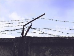 提籃橋旁律師看該槍斃死刑犯如何出獄？